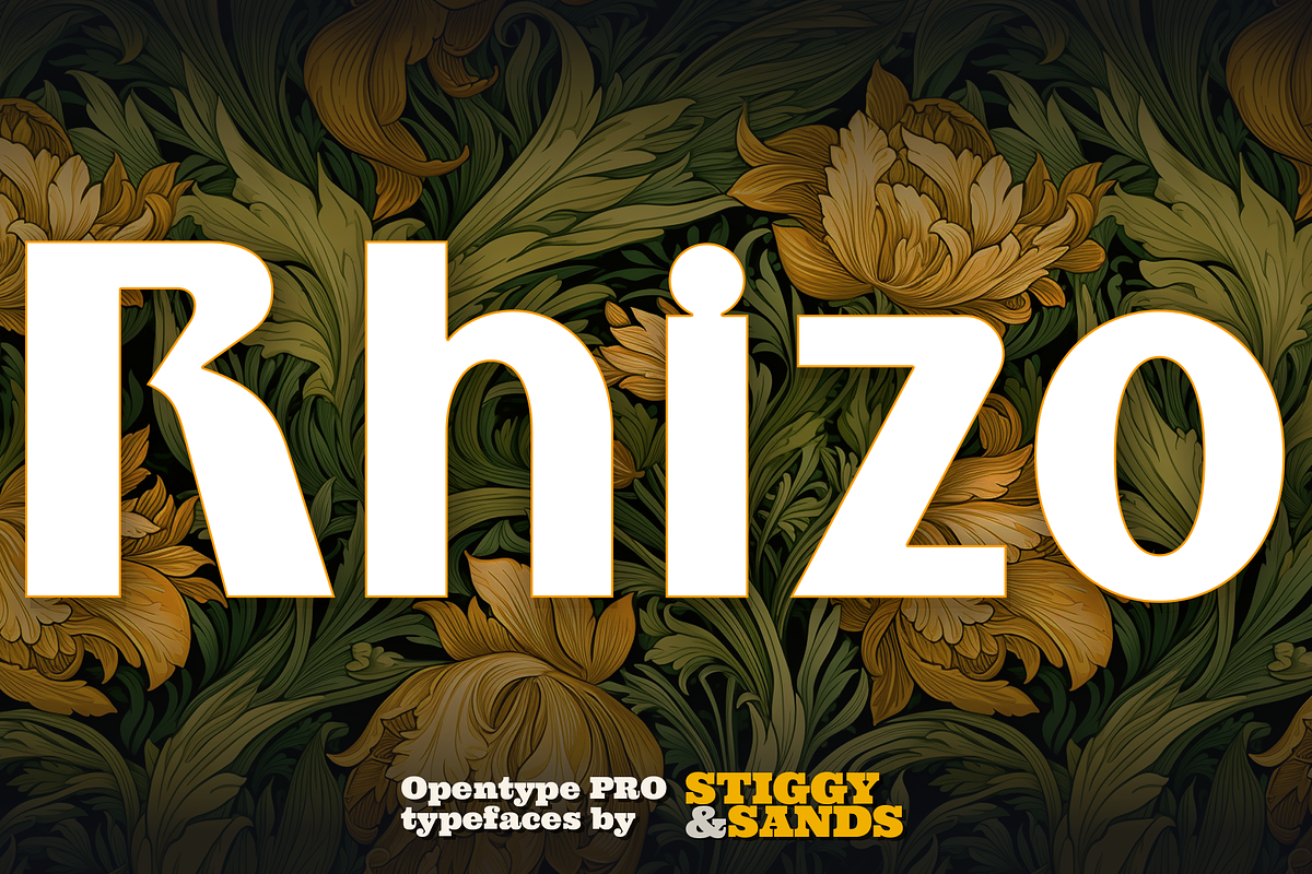 Rhizo, a Sans Serif Font by Stiggy & Sands (Photo 1 of 9)