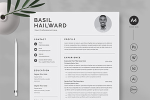 Canva Resume Template / CV