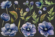BLUE ANEMONE, a Graphic by AJDA ART (Thumbnail 3 of 4)