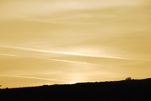 Sunrise featuring sunrise, dawn, and orange