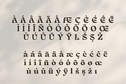 Farin Serif, a Serif Font by Creative Foundry (Thumbnail 7 of 8)