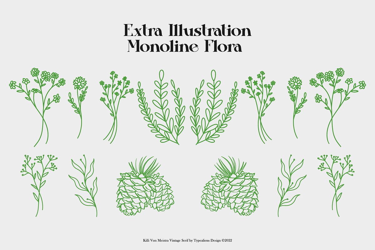 Killi Von Meistra, a Serif Font by ilhamtaro (Photo 11 of 11)