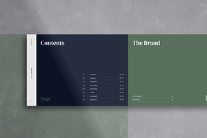 Vega - Brand Guidelines