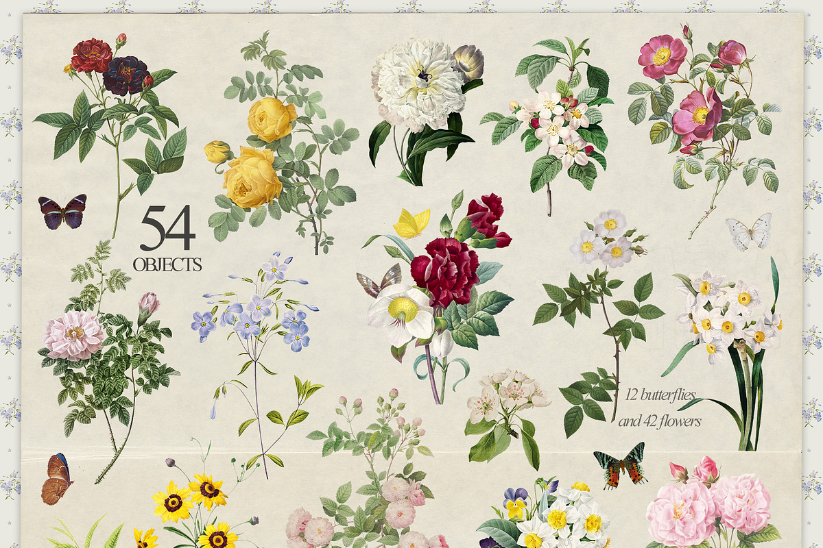 Vintage Botanical Charm Collage Pack, an Object Graphic by lerinartstudio (Photo 7 of 14)