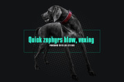 Apollonia - Modern WebFont, a Font by Webhance Studio (Thumbnail 2 of 5)