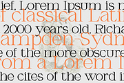 Armeston - Modern Serif, a Serif Font by tebaltipislab (Thumbnail 15 of 15)