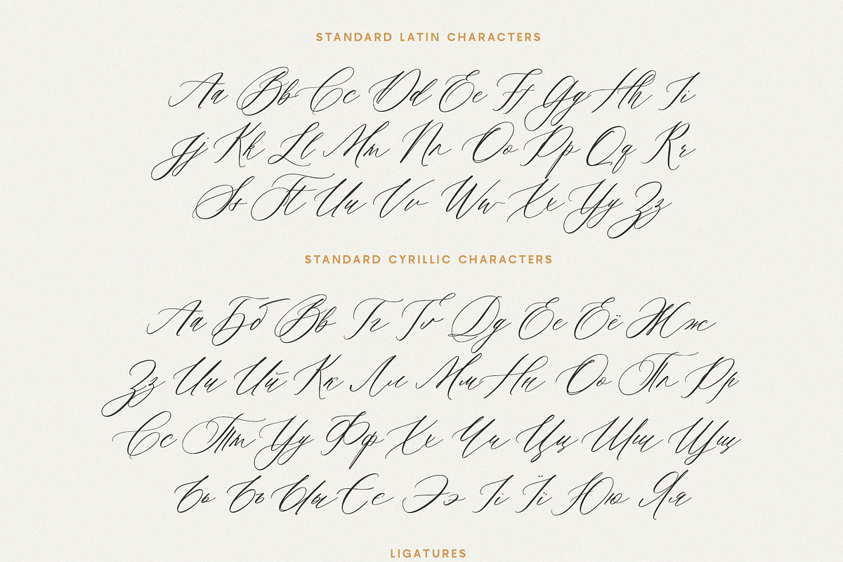 Saint Viet | Calligraphy Font, a Script Font by Calamar Studio (Photo 11 of 29)