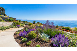 Beautiful coastal garden with, a Nature Photo by Lermont51