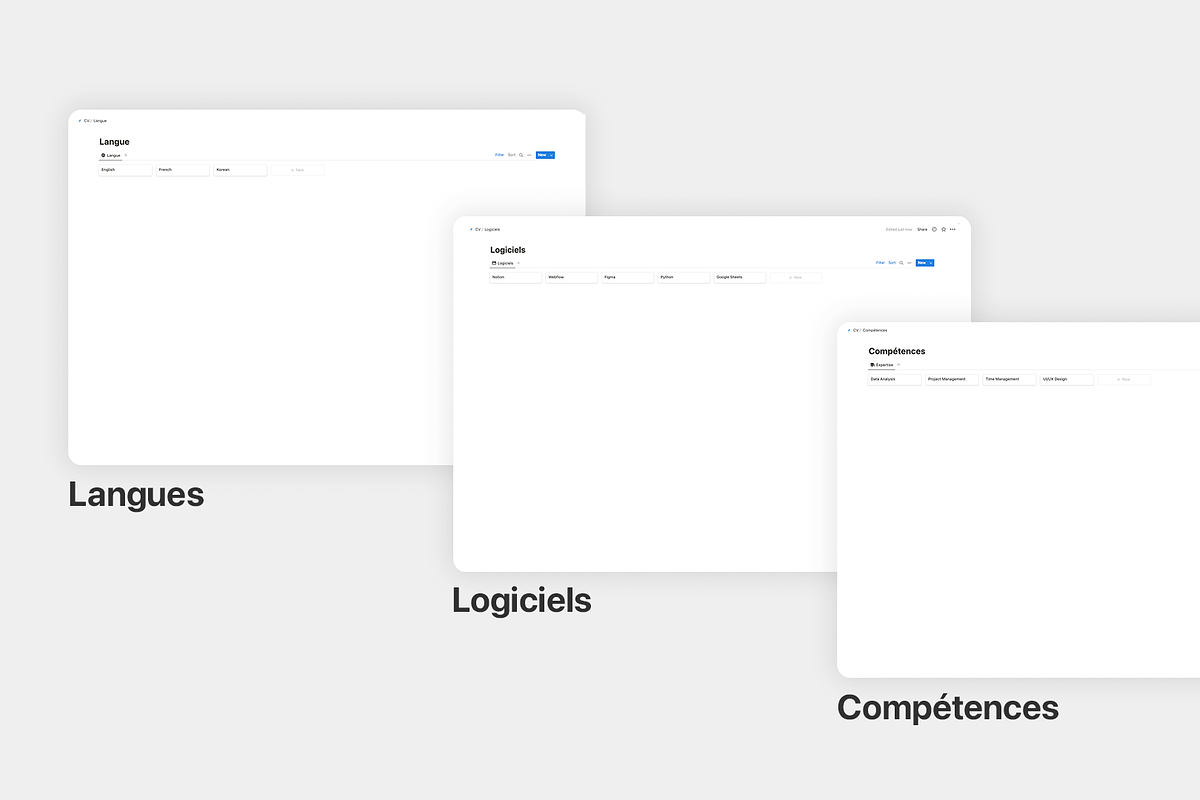 Template CV, a Templates & Theme by MisterAutomatiz (Photo 3 of 4)