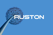 Auston Display