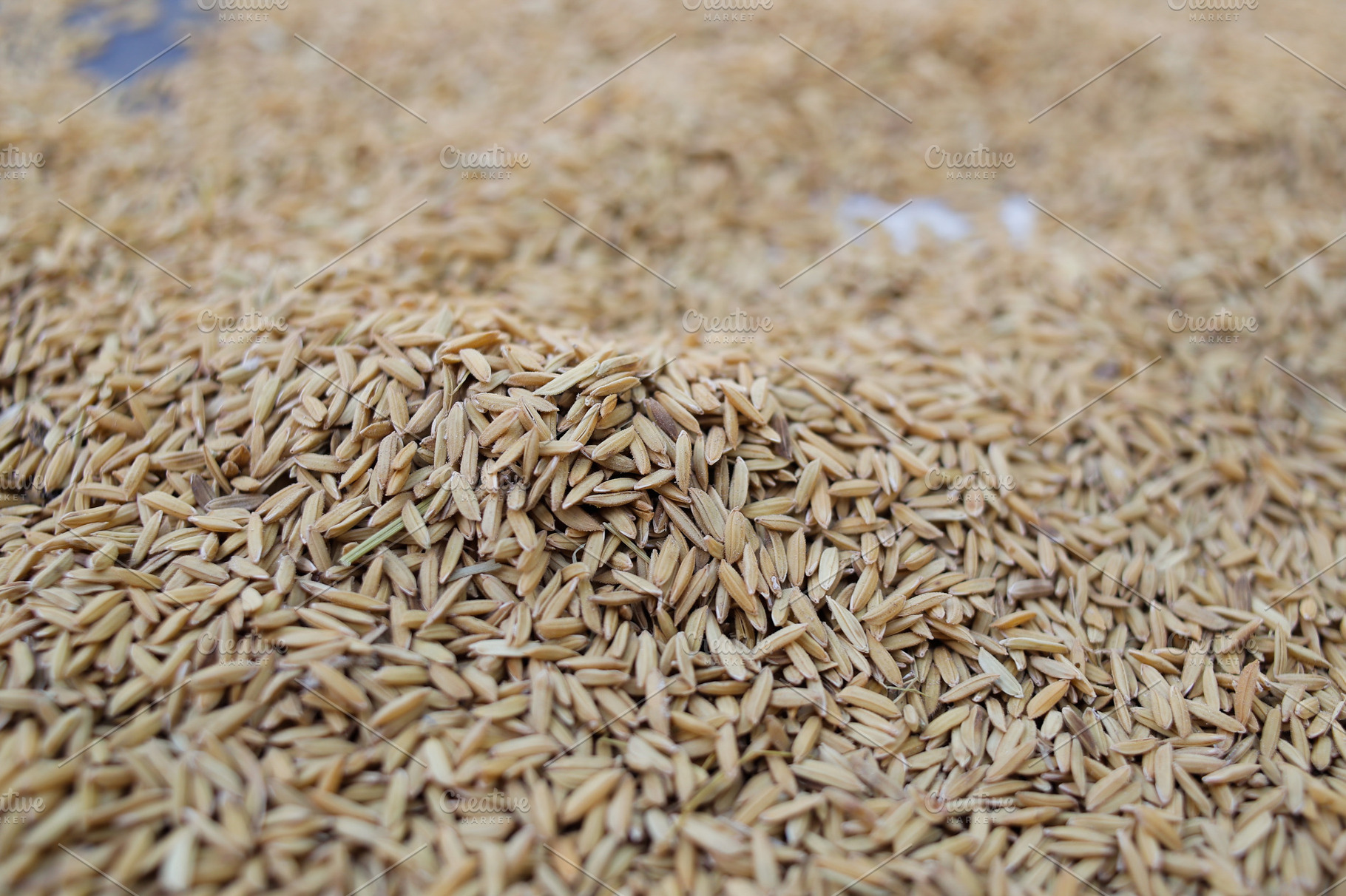 Close-up of rice texture (grain), a Food & Drink Photo by bastera