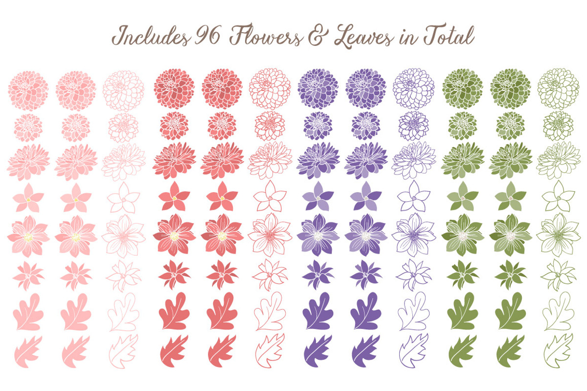 Wildflower Clipart & Vectors, an Illustration by Amanda Ilkov (Photo 4 of 4)