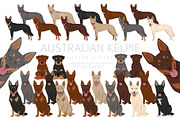 Australian Kelpie clipart, an Illustration by pet design shop (Thumbnail 1 of 6)
