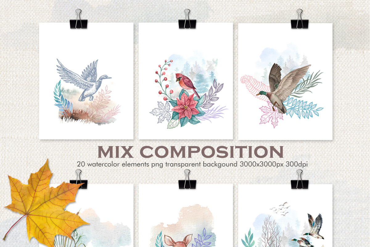 Watercolor North American Spring, an Illustration by Graphobia (Photo 5 of 10)