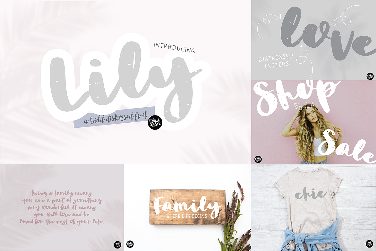 DESERT DREAMS Lettered Font Bundle preview 5