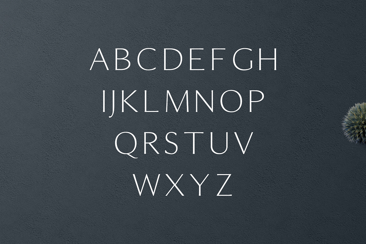 Maleah Font Free Downloadv - UIFreebies