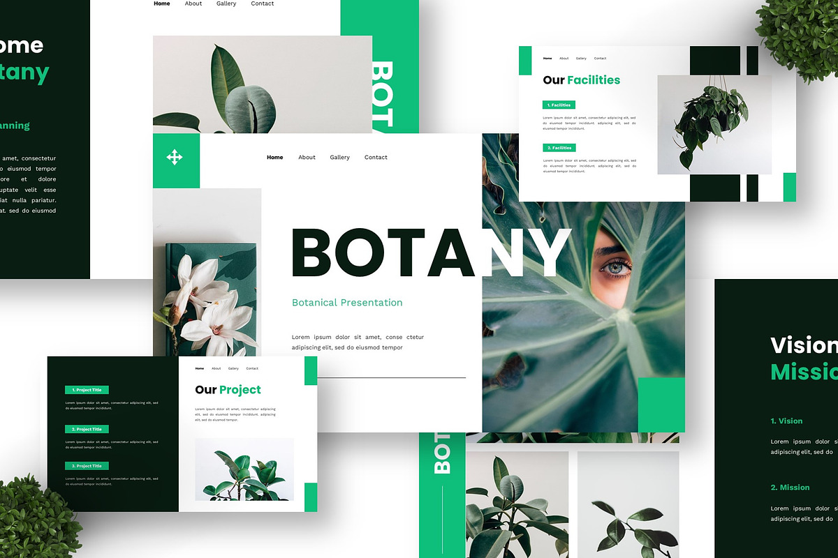 Botany - Botanical Keynote, a Presentation Template by Deepslide Studio (Photo 5 of 6)