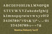 Mestina Bohoniy – Display Font Duo, a Script Font by Madjack.font (Thumbnail 6 of 12)