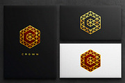 Elegant Logos, a Branding & Logo Template by Michael Rayback Design (Thumbnail 14 of 20)