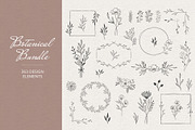 Botanical Bundle, a Decorative Illustration by Anatartan Design (Thumbnail 1 of 7)