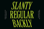 MTC Quinnie - Condensed Serif!, a Serif Font by Martype (Thumbnail 7 of 12)