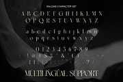Balgind Modern Serif Font, a Serif Font by Alfinart (Thumbnail 10 of 10)