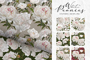 Peonies. Spring flower collection., an Object Graphic by RushkinaAntonina (Thumbnail 4 of 5)