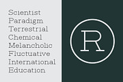 Rante Contact, a Slab Serif Font by takoliko (Thumbnail 4 of 12)