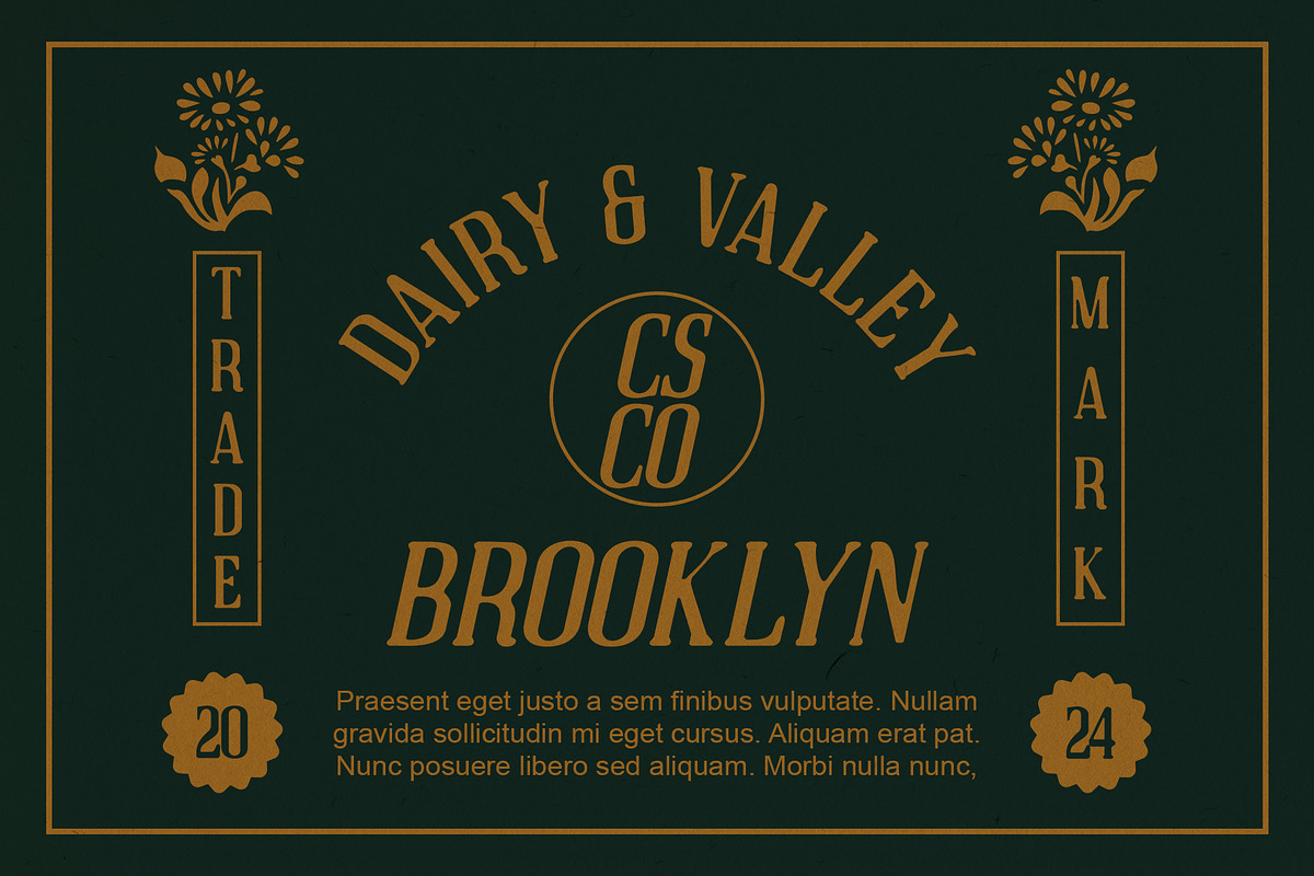 Acelon Blur, a Serif Font by Craft Supply Co. (Photo 8 of 8)