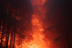 silhouette of a man against the background of a forest fire, a Photo by Pictures for you!!!!!!!!!
