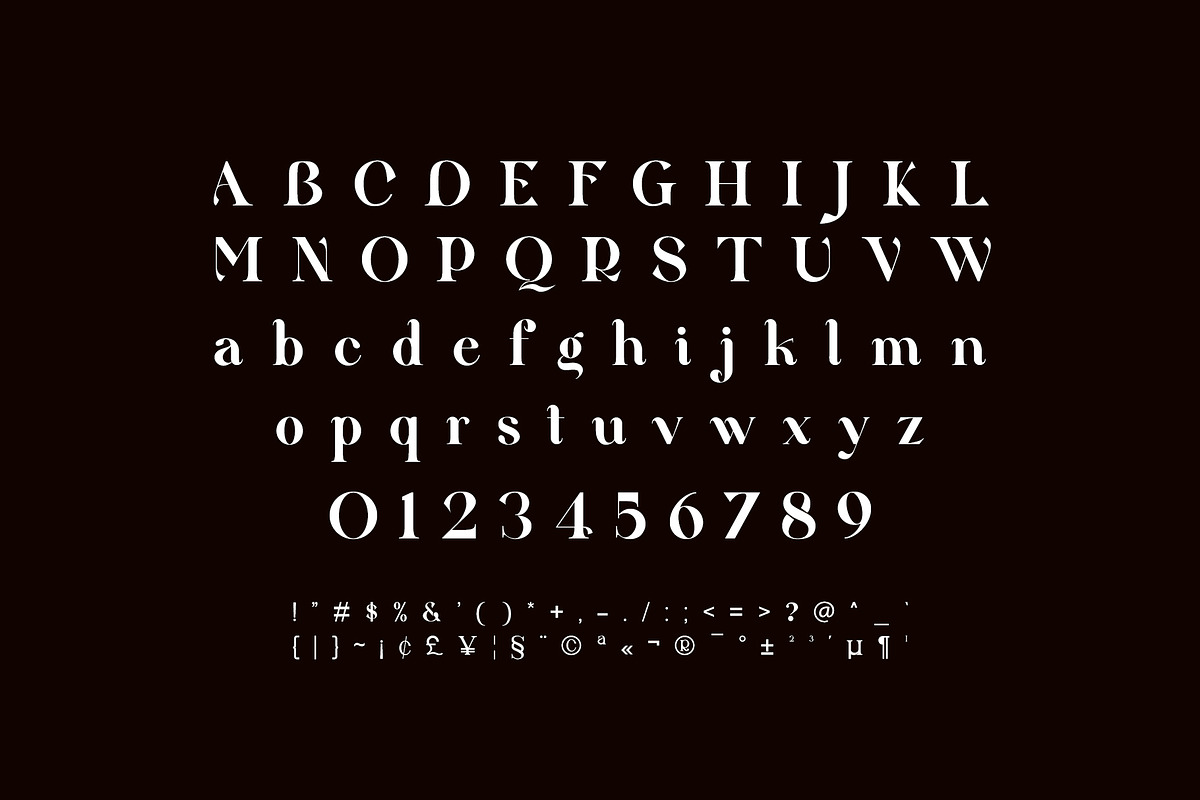 Qittney Unique Ligature Serif Typefa, a Serif Font by yaqublekker (Photo 8 of 8)
