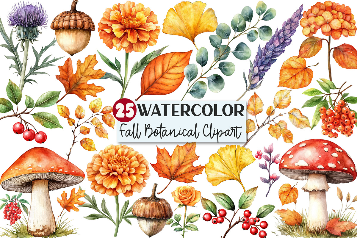 Watercolor Fall Botanical Clipart, an Illustration by Rose Art (Photo 1 of 4)