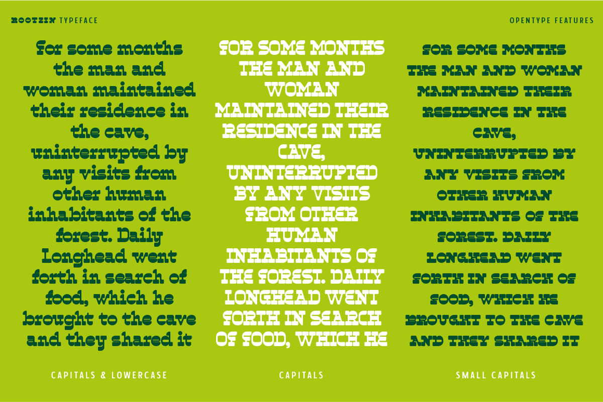 Rootzin, a Slab Serif Font by Typogama (Photo 9 of 15)