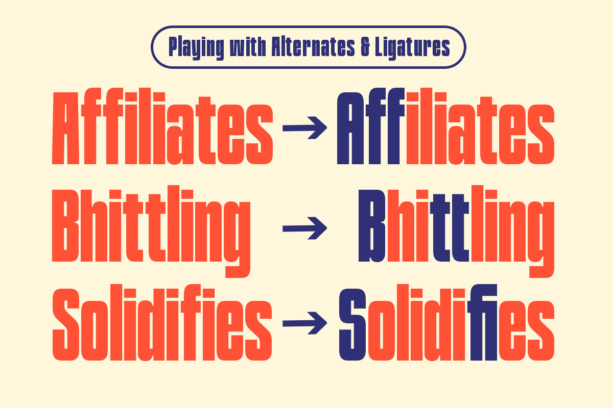 TNSC Bashin - Condensed Sans Serif, a Sans Serif Font by The Native Saint Club (Photo 2 of 12)