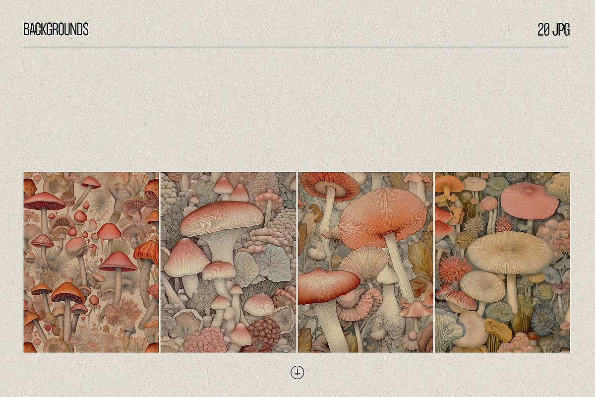 Fungi - botanical illustrations, an Object Graphic by AI Crafted Magnolia (Photo 6 of 13)