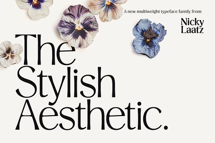 Stylish Aesthetic Typeface, a Sans Serif Font by Nicky Laatz