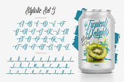Quality Brazilian Font, a Script Font by alit design (Thumbnail 13 of 20)