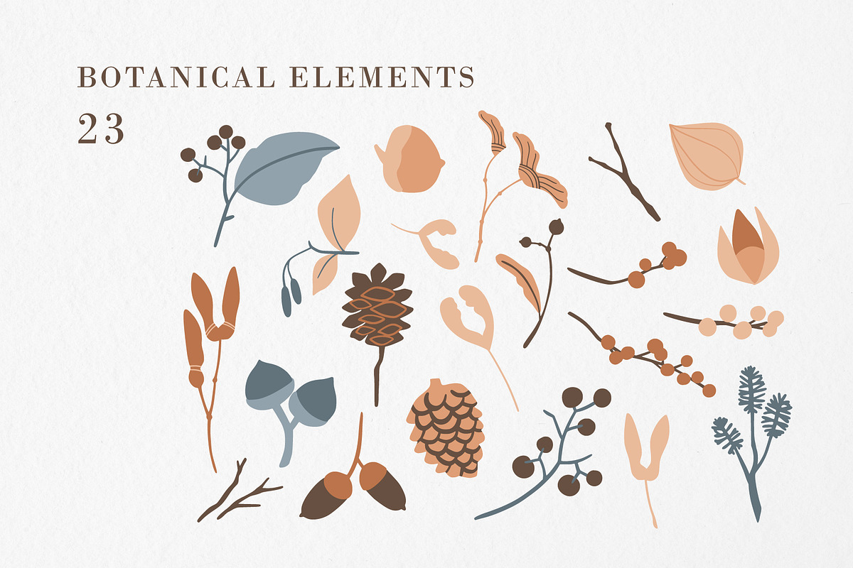 FOREST TREASURES big vector bundle, a Decorative Illustration by Lena Nikolaeva (Photo 5 of 16)
