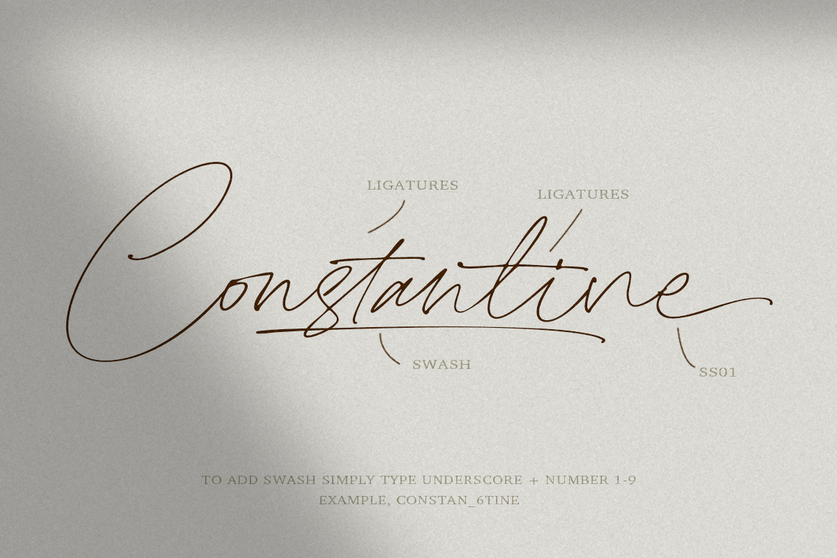Clandestine Script, a Script Font by Rillatype Studio (Photo 3 of 9)