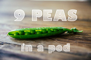 Moaren Font, a Font by Digital Typeface Studio (Thumbnail 7 of 7)