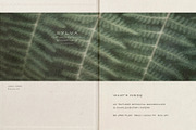 Sylva Textured Botanical Backgrounds, a Background Graphic by alonahaidash (Thumbnail 2 of 15)