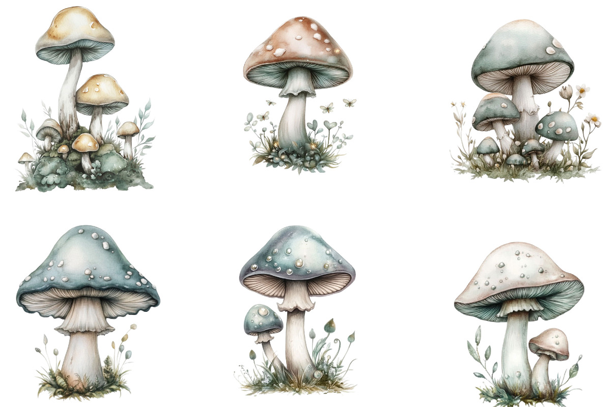 Watercolor Mushroom Clipart, an Illustration by Designking (Photo 5 of 5)