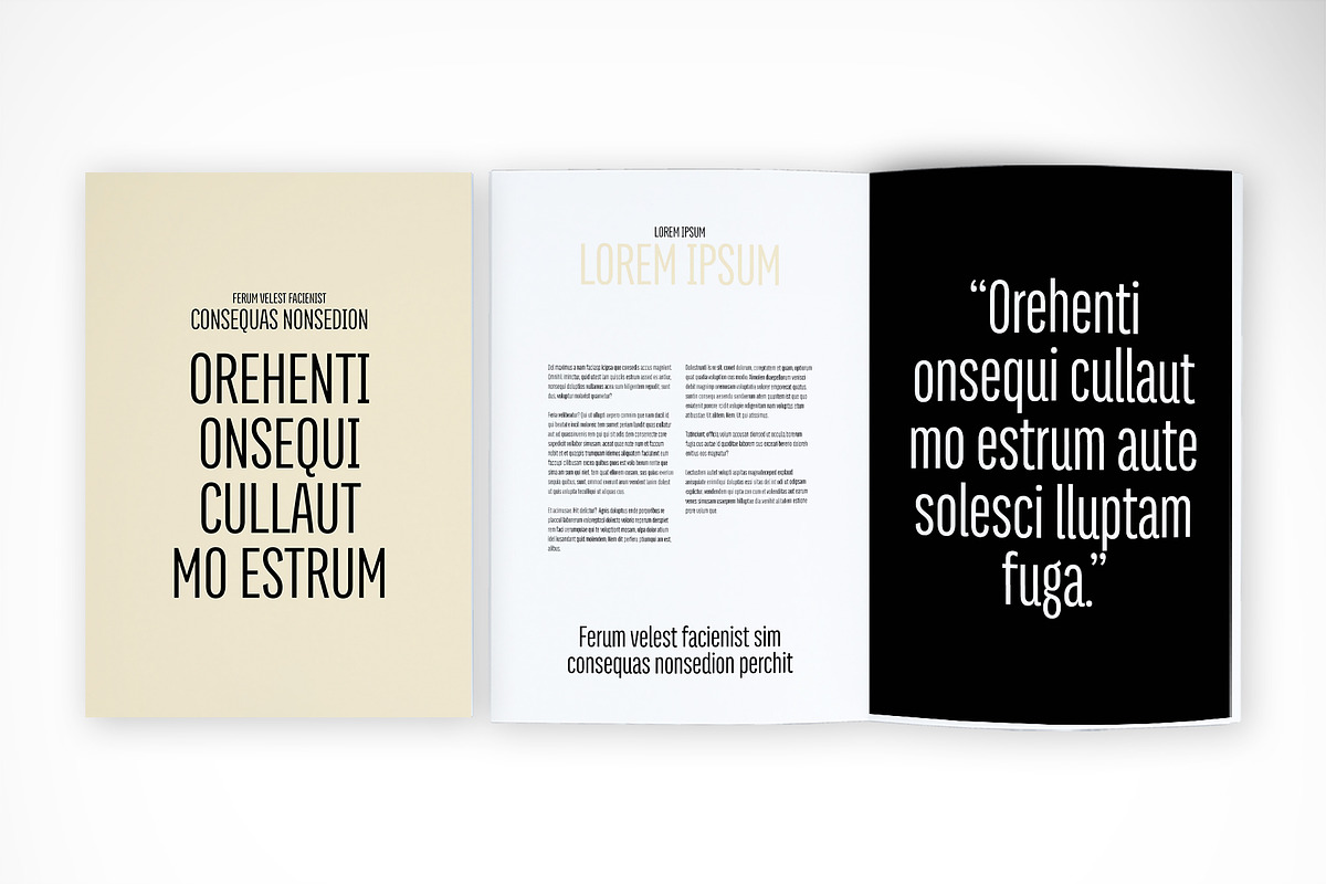 Sophisticated Portfolio Presentation, a Print Template by McLittle Stock (Photo 4 of 4)