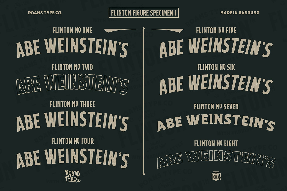 Flinton - Vintage Bundle Fonts, a Serif Font by Roams Type (Photo 2 of 14)