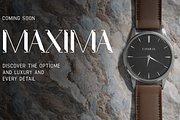 Flowza - A Dynamic Display Font, a Serif Font by overlaytemplates (Thumbnail 2 of 5)