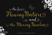 Font Collection | 33 Fonts, a Script Font by Seniors (Thumbnail 57 of 66)
