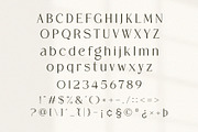 Rogatte || elegant ligature serif, a Serif Font by ToniStudio (Thumbnail 9 of 16)