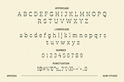 Grivena, a Serif Font by Suby Studio (Thumbnail 5 of 5)