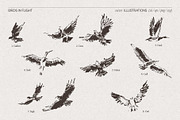 Sketch-Style Bird Flock Vector Set, an Animal Illustration by TheMountBirdStudio (Thumbnail 9 of 11)