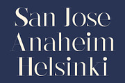 CS Regale – Elegant Serif Font, a Serif Font by Craft Supply Co. (Thumbnail 4 of 8)